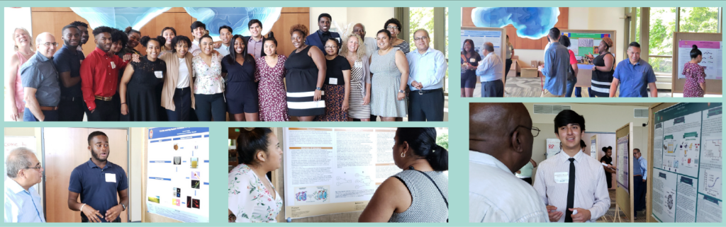 Collage of different photographs of WiscAmp related groups and activities. Includes a group photograph and photographs of participants presenting their projects in front of poster boards in a fair-like setting.