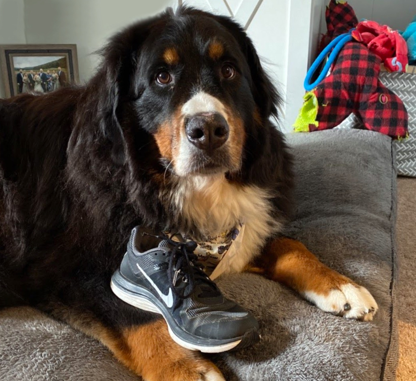 Finals Time | College Library | UW-Madison Libraries Finals Time | College Library | UW-Madison Libraries