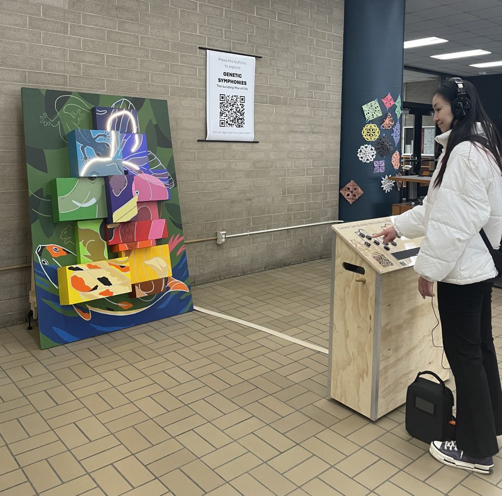 Art Installation Symphonies” College Library UWMadison