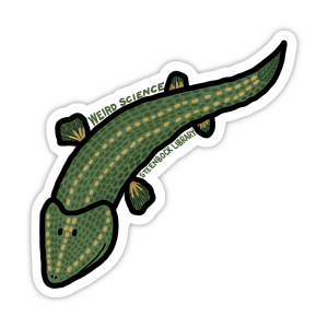 Simplistic drawing of a Tiktaalik with the phrases "Weird Science" and "Steenbock Library"